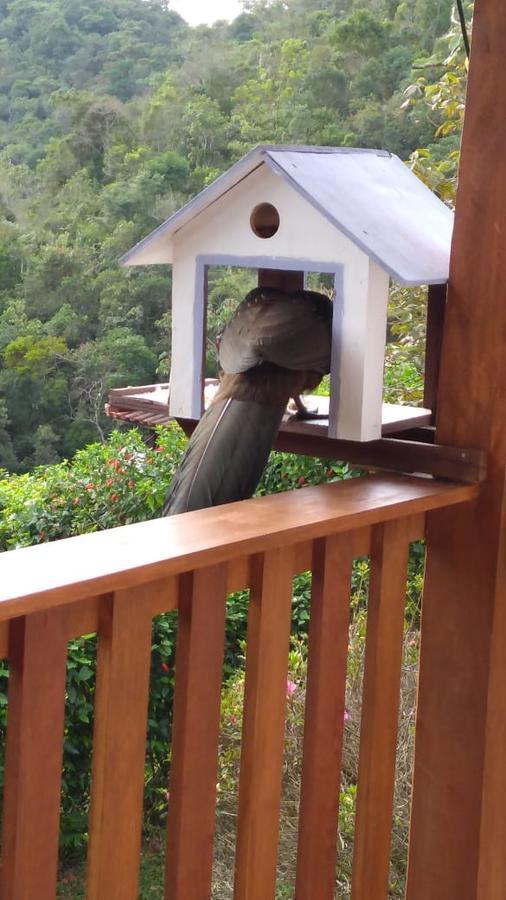 Casa Sossego Da Montanha Villa Visconde De Maua Ngoại thất bức ảnh
