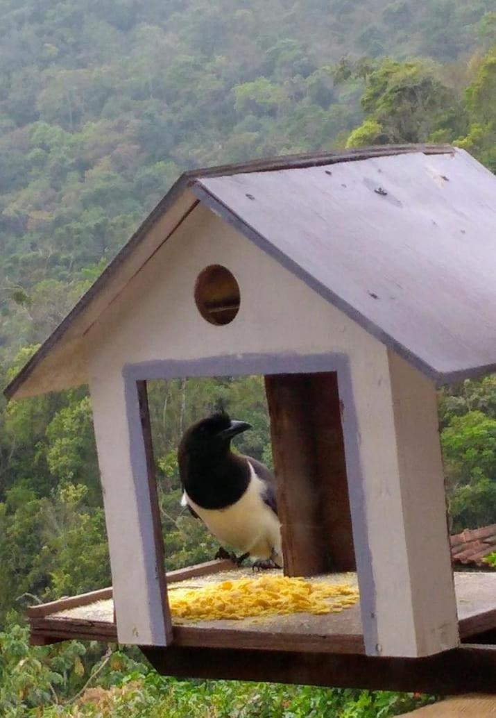 Casa Sossego Da Montanha Villa Visconde De Maua Ngoại thất bức ảnh